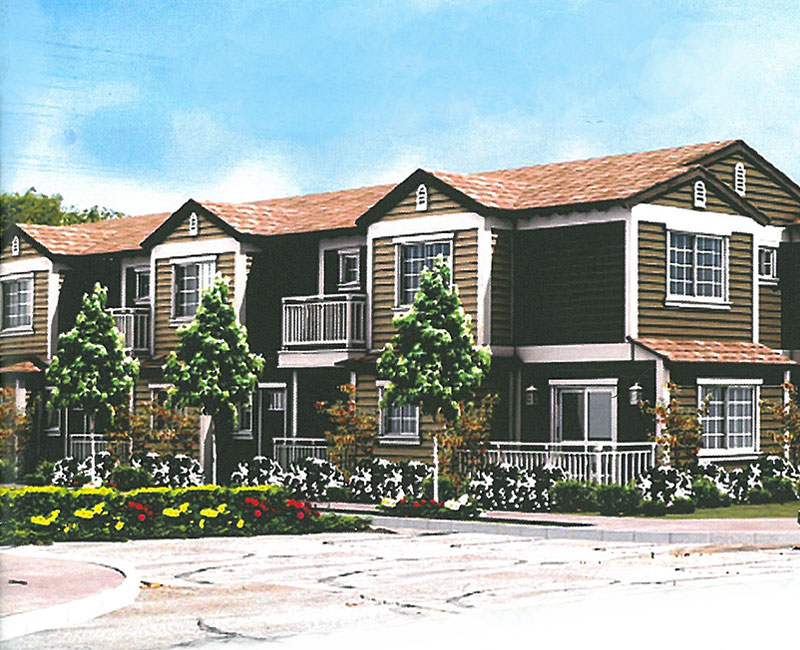 Habitat for Humanity